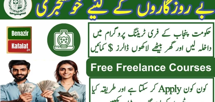 Students Earn Money! Free Freelance Courses Offered by the Government of Pakistan 2024
