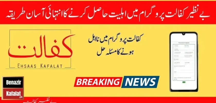 8171 Ehsaas Kafalat Program 2024 - Check Eligibility Requirements Now