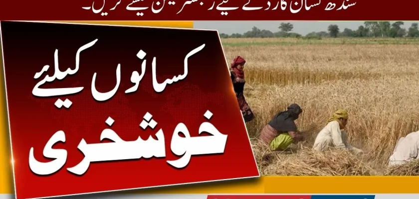 Big Updates! How to Register for the Sindh Kisan Card in 2024